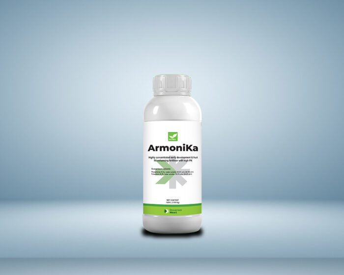 Armonika - Image 1