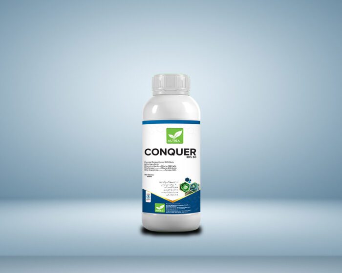 Conquer - Image 1