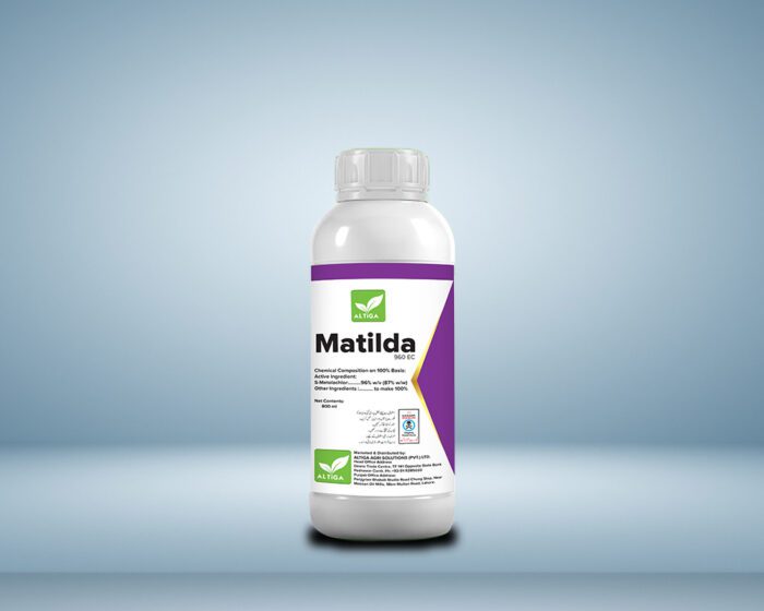 Matilda - Image 1