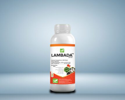Lambada