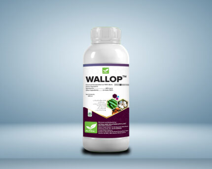 Wallop